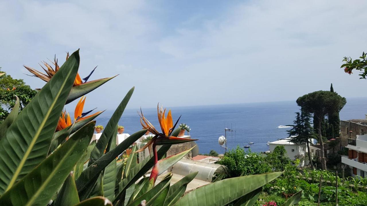 Casa Anna Villa Positano Ngoại thất bức ảnh